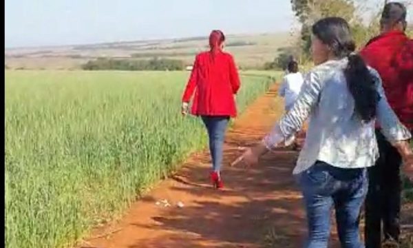 Abogada que se identifica como la “leona colorada” atropella propiedad privada – Diario TNPRESS