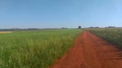 Piden intervención del Indi en alquiler de tierras indígenas - Nacionales - ABC Color