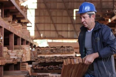 Pandemia reactivó industrias madereras - Nacionales - ABC Color