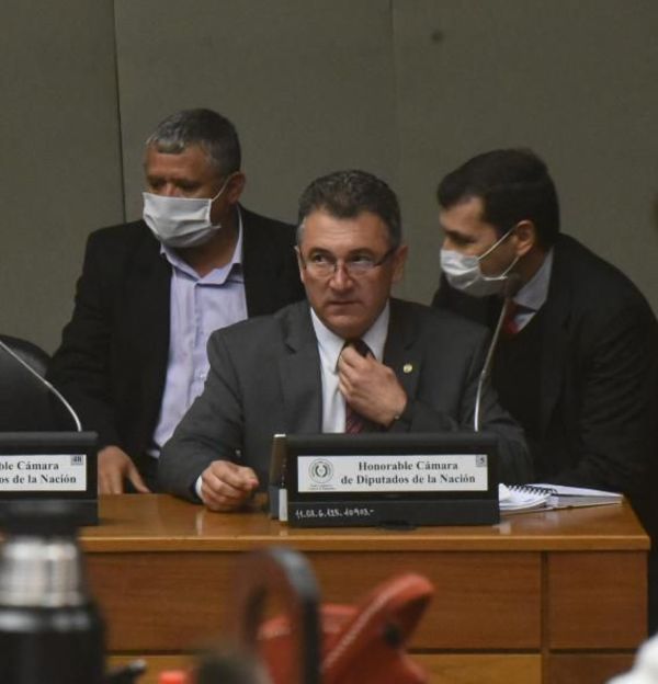 Diputados dan su voto de censura al presidente de la ANDE - Nacionales - ABC Color
