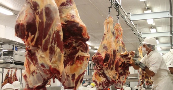 Envíos de carne bovina y menudencias alcanzaron US$ 581 millones a julio
