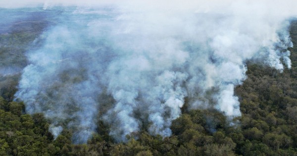 Incansable combate al fuego en el Pantanal, santuario de la biodiversidad