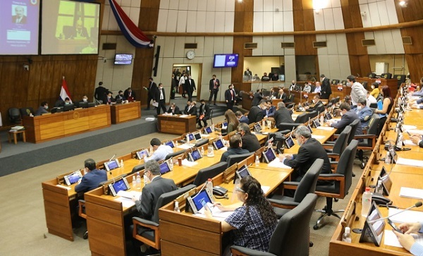 Voto censura para titular de la ANDE en Diputados