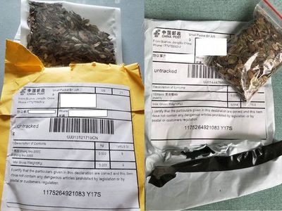 Los misteriosos paquetes de semillas enviados a países desde China