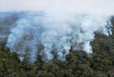 Incansable combate al fuego en el Pantanal, santuario de la biodiversidad