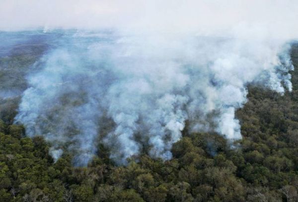 Incansable combate al fuego en el Pantanal, santuario de la biodiversidad