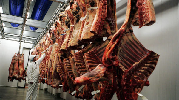 Frigoríficos exportadores faenaron 157.279 bovinos en julio, una baja del 6,2%
