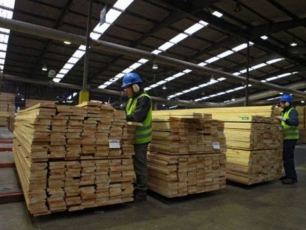 Pandemia impulsa al alza la venta de madera nacional