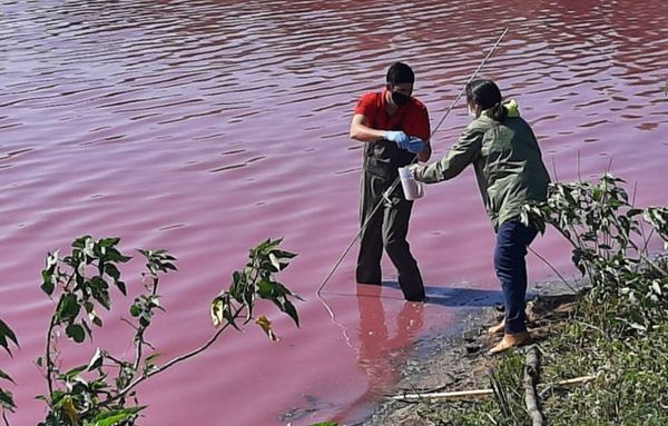 Mades analiza contaminación y todo apunta a curtiembre - Nacionales - ABC Color