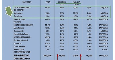Las correcciones económicas del 2020