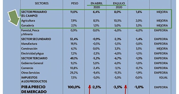 Las correcciones económicas del 2020