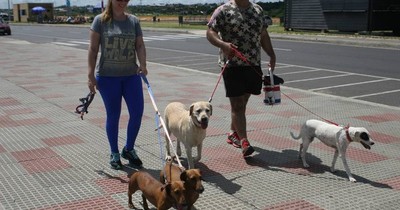 Diputados aprueba ley que busca mantener horario de verano todo el año