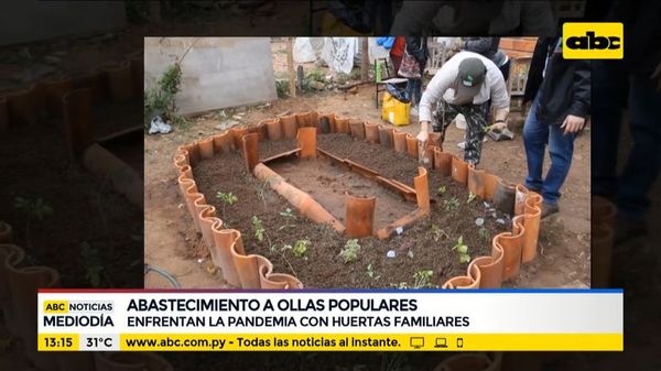 Enfrentan la pandemia con huertas familiares - ABC Noticias - ABC Color