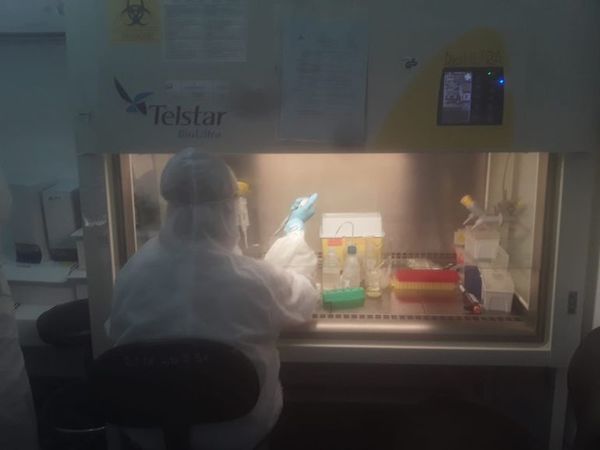 Detectan dos casos de COVID-19 positivo en Senacsa y cierran laboratorio por dos días - Nacionales - ABC Color