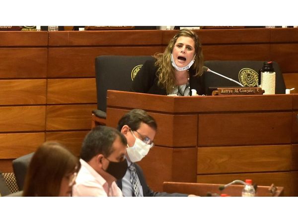 Imprecisión obligó a rechazar ley de declaración jurada de intereses