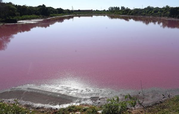 Cemit se suma a estudio de laguna contaminada - Nacionales - ABC Color