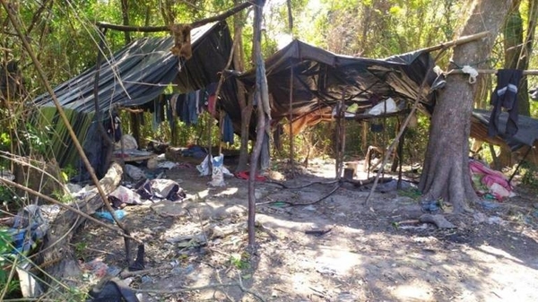 HOY / Destruyen más de 15 toneladas de marihuana en Carayaó