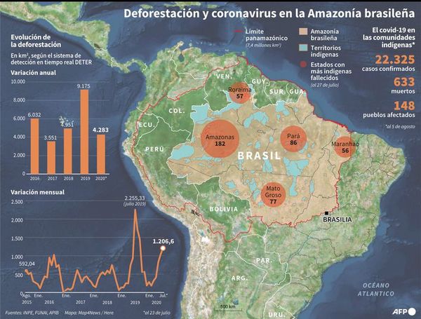 La pandemia deja a la Amazonia más frágil que nunca - Mundo - ABC Color