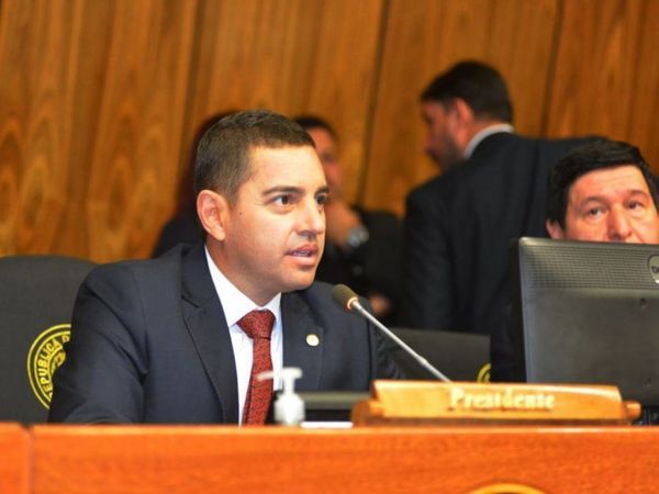 Colorados acusan a opositores de unirse para apañar a sus corruptos - Digital Misiones
