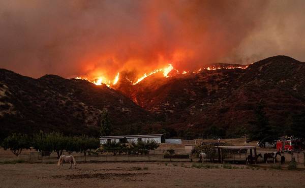 El incendio forestal cerca de Los Ángeles avanza y quema 11.300 hectáreas » Ñanduti