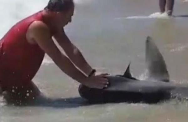 Denuncian a un hombre por asfixiar hasta la muerte a un pez luna en una playa - SNT