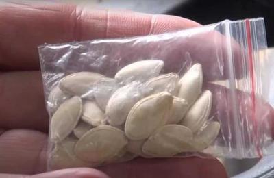 Plantó las misteriosas semillas enviadas de China para ver 'qué pasaba' y esto surgió de la tierra - SNT