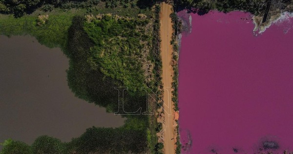 Impunidad ambiental: laguna en Limpio se tiñe de rojo y su ecosistema agoniza