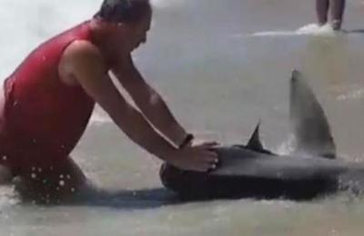 Denuncian a un hombre por asfixiar hasta la muerte a un pez luna en una playa - C9N