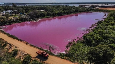 HOY / Especialistas confirman alta contaminación de Laguna Cerro de Limpio