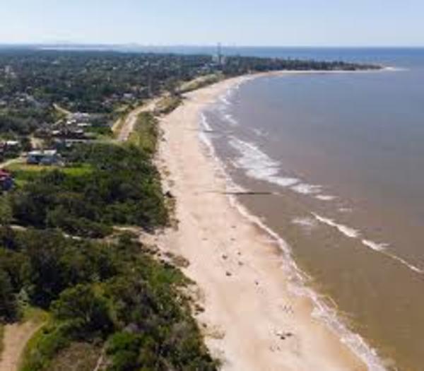 Uruguay lanza estrategia ambiental para lograr su descarbonización hacia 2050 » Ñanduti