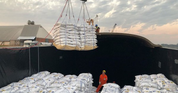 Por bajante del río, se exportará arroz en tren a Buenos Aires