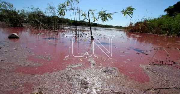 Laguna Cerro en Limpio: resultados confirman alta contaminación de las aguas