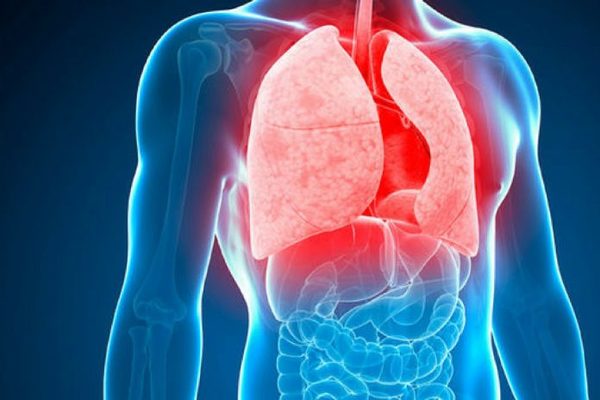 Tuberculosis: un nuevo método acorta el tiempo de diagnóstico y epidemiología » Ñanduti