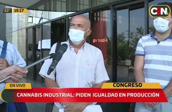 Cannabis industrial: Piden igualdad en la producción - C9N