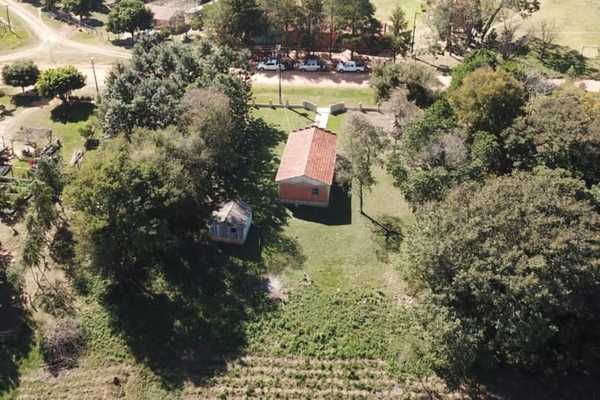 CULTIVABAN MARIHUANA DETRÁS DE UN ORATORIO