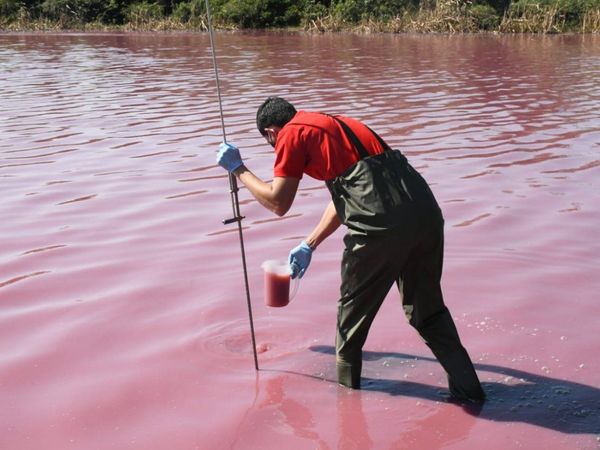 Laguna Cerro de Limpio arroja alto nivel de contaminación
