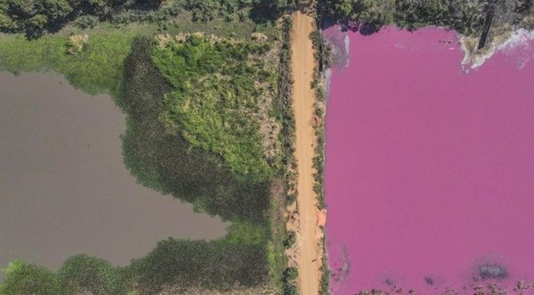 Laguna se hizo roja por químicos | Crónica