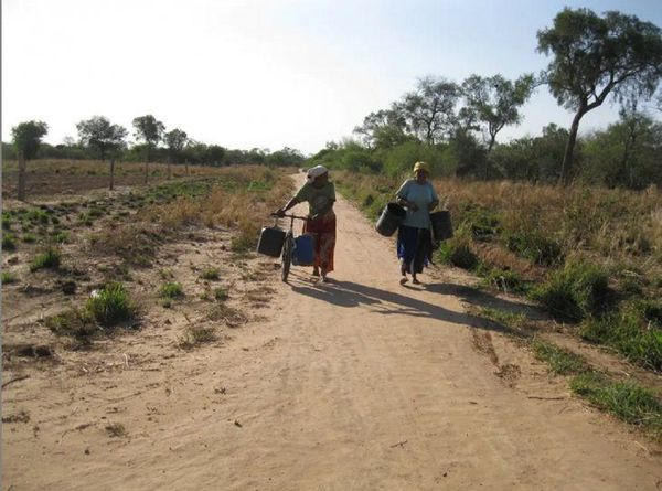 Declaran emergencia agrícola y ganadera en Guairá, Paraguarí y todo el Chaco paraguayo - Digital Misiones