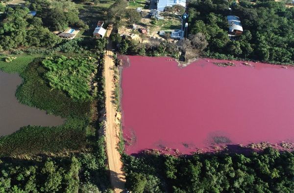 Estudios confirman criminal contaminación de laguna - Nacionales - ABC Color