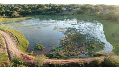 Buscan preservar hábitat de animales silvestres en Caazapá - Nacionales - ABC Color
