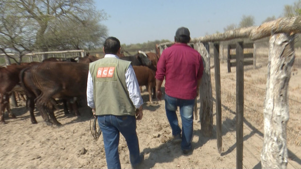 Nativos se mantienen de ganadería: “Nosotros lo que queremos es trabajar… no solamente asentarnos y listo”