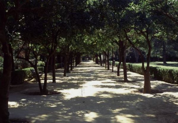 Intendente de San José de los Arroyos insta a la ciudadanía a denunciar casos de deforestación » Ñanduti