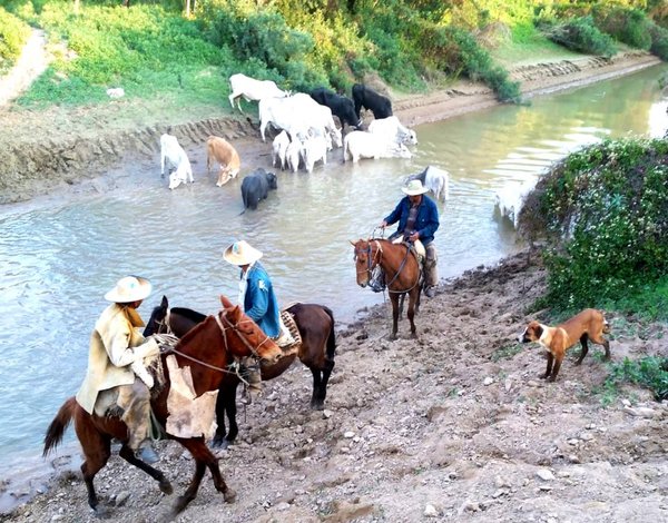 Río Pilcomayo lleva alivio a productores en épocas de sequía prolongada en el Chaco