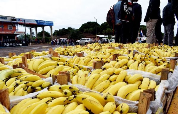 Productores de bananas, satisfechos con gestión de Ministerio de Agricultura