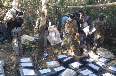 Destruyen cerca de 3 toneladas de marihuana tipo marroquí en Capitán Bado