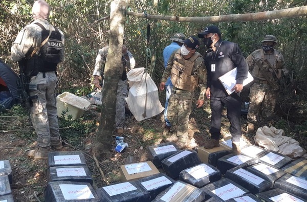 Destruyen cerca de 3 toneladas de marihuana tipo marroquí en Capitán Bado