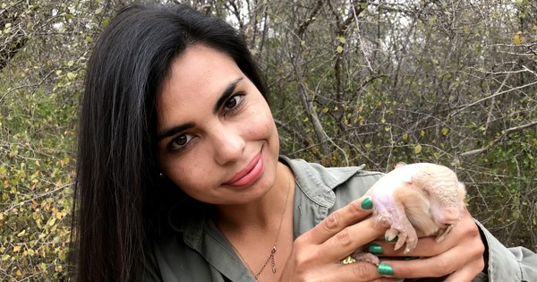 El pichiciego aparecerá en nuevo ciclo de Paraguay Salvaje