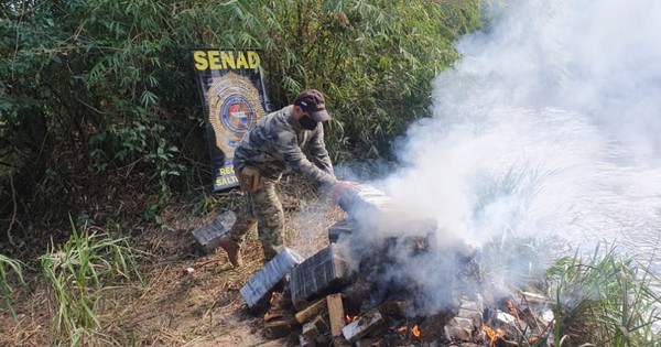 Incautan casi 3 toneladas de marihuana en zona de Bado