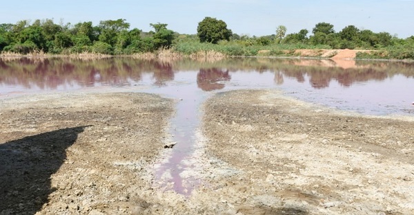 Mades suspende actividades de empresa por contaminación de laguna