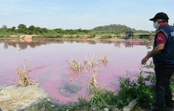 Suspenden actividades de Waltrading SA tras allanamiento de MADES
